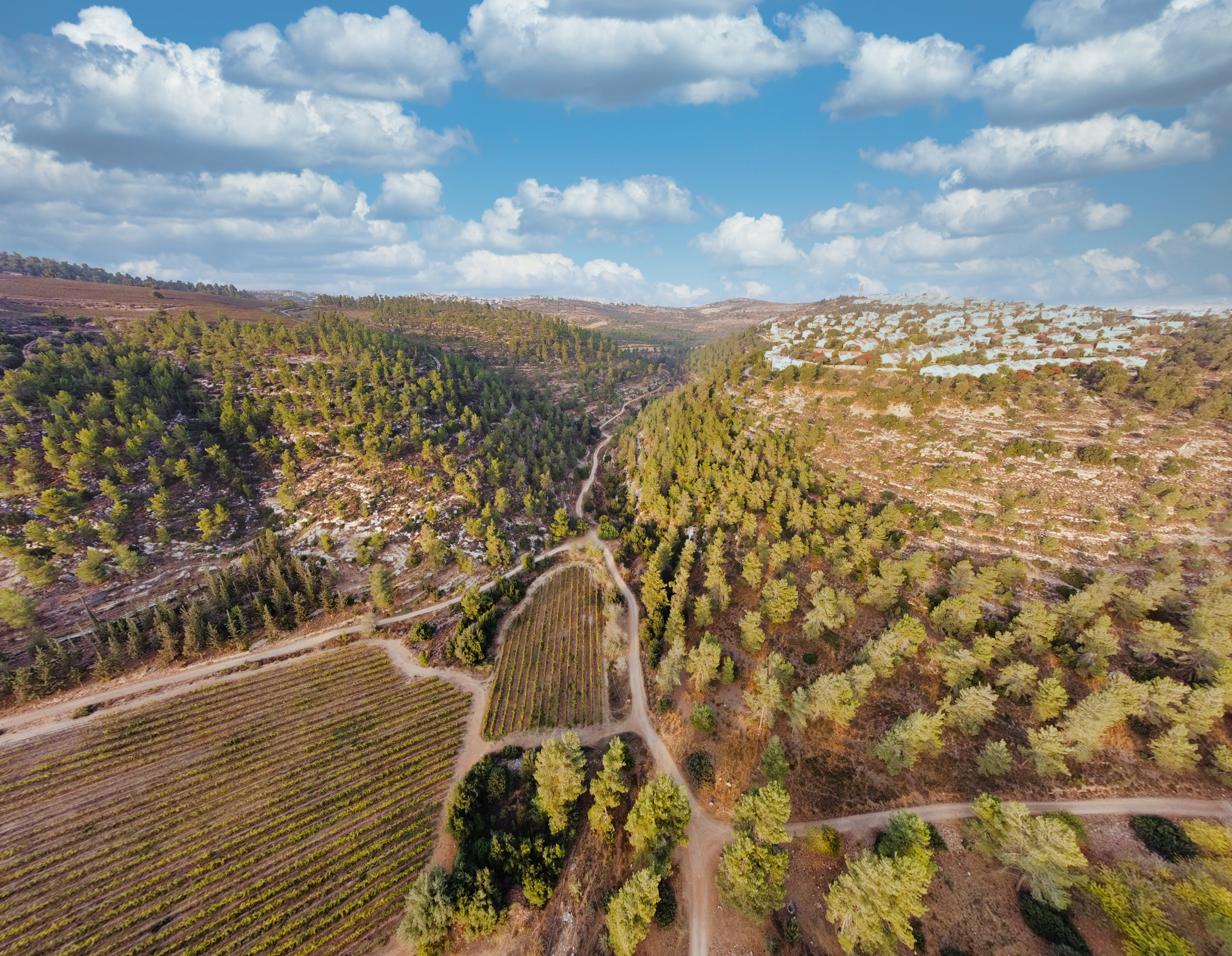 Palestinian Geography